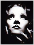 Lorenzo artworks, portraits, Marlene Dietrich